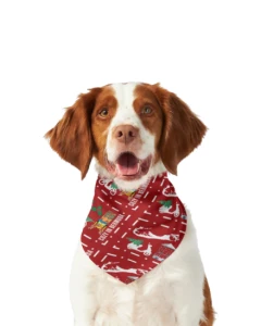 Bermuda Christmas Pet's Scarf