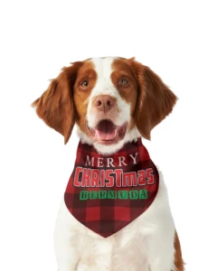 Bermuda Santa Jingle Pet's Scarf 