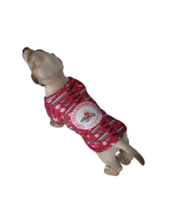 Bermuda Pet's Ugly Christmas Sweater 